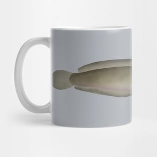 North Africa Catfish Mug